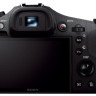 Sony Cyber-shot DSC-RX10
