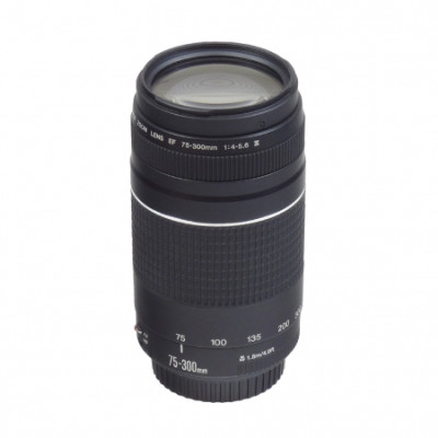 Canon EF 75-300mm f/4-5.6 III