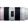 Canon EF 70-200mm f/2.8L USM