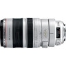 Canon EF 100-400mm f/4.5-5.6L IS USM